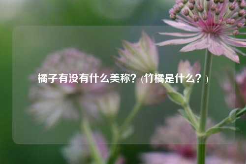 橘子有没有什么美称？(竹橘是什么？)