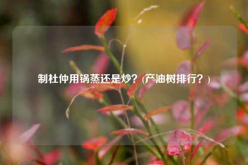 制杜仲用锅蒸还是炒？(产油树排行？)