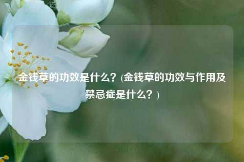 金钱草的功效是什么？(金钱草的功效与作用及禁忌症是什么？)