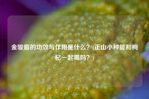 金骏眉的功效与作用是什么？(正山小种能和枸杞一起喝吗？)