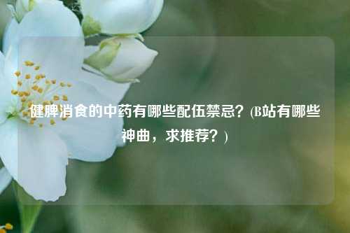 健脾消食的中药有哪些配伍禁忌？(B站有哪些神曲，求推荐？)