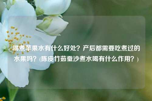 喝煮苹果水有什么好处？产后都需要吃煮过的水果吗？(陈皮竹茹蚕沙煮水喝有什么作用？)