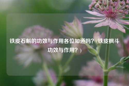 铁皮石斛的功效与作用各位知道吗？(铁皮枫斗功效与作用？)