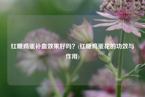 红糖鸡蛋补血效果好吗？(红糖鸡蛋花的功效与作用)