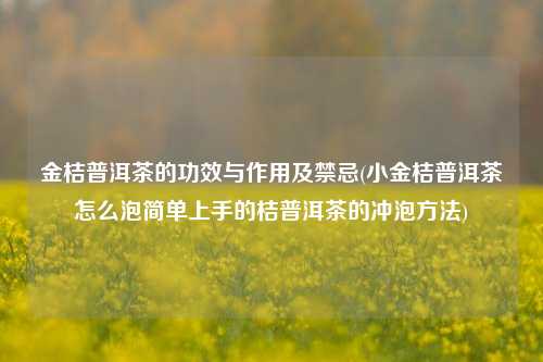 金桔普洱茶的功效与作用及禁忌(小金桔普洱茶怎么泡简单上手的桔普洱茶的冲泡方法)