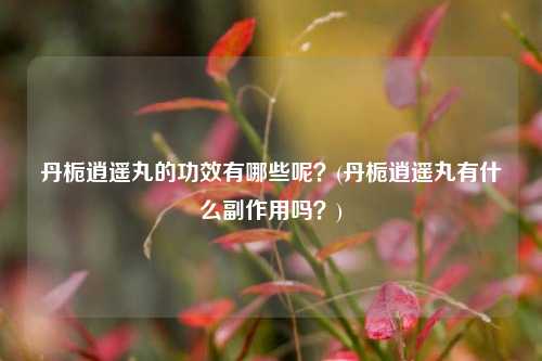 丹栀逍遥丸的功效有哪些呢？(丹栀逍遥丸有什么副作用吗？)