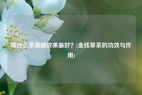 喝什么茶清肺效果最好？(金钱草茶的功效与作用)