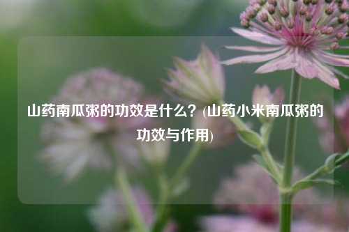 山药南瓜粥的功效是什么？(山药小米南瓜粥的功效与作用)