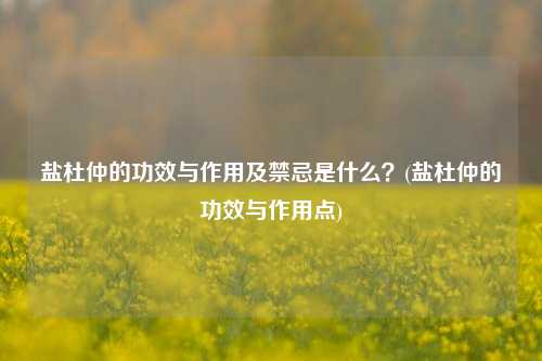 盐杜仲的功效与作用及禁忌是什么？(盐杜仲的功效与作用点)