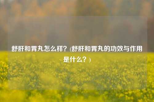 舒肝和胃丸怎么样？(舒肝和胃丸的功效与作用是什么？)