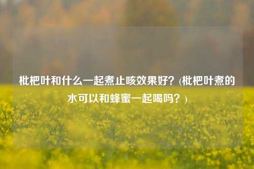 枇杷叶和什么一起煮止咳效果好？(枇杷叶煮的水可以和蜂蜜一起喝吗？)