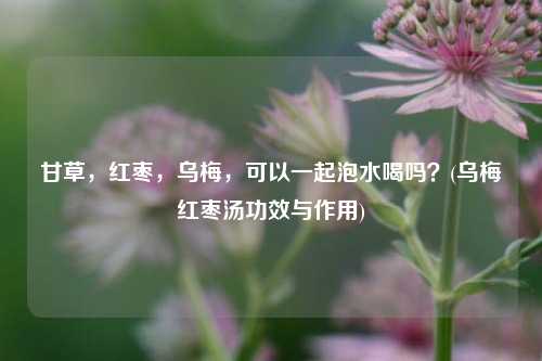 甘草，红枣，乌梅，可以一起泡水喝吗？(乌梅红枣汤功效与作用)