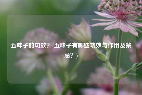 五味子的功效？(五味子有哪些功效与作用及禁忌？)