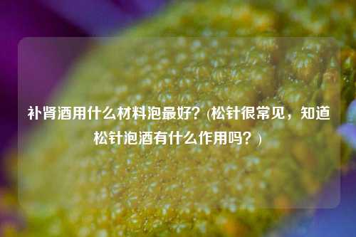 补肾酒用什么材料泡最好？(松针很常见，知道松针泡酒有什么作用吗？)