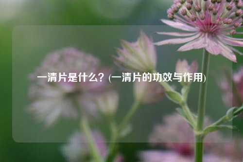 一清片是什么？(一清片的功效与作用)