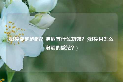 橄榄能泡酒吗？泡酒有什么功效？(橄榄果怎么泡酒的做法？)