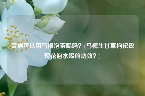 胃病可以用乌梅泡茶喝吗？(乌梅生甘草枸杞玫瑰花泡水喝的功效？)