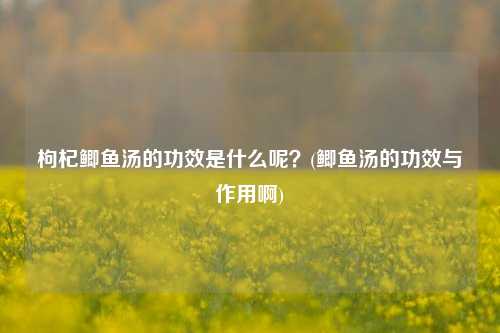 枸杞鲫鱼汤的功效是什么呢？(鲫鱼汤的功效与作用啊)