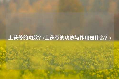 土茯苓的功效？(土茯苓的功效与作用是什么？)