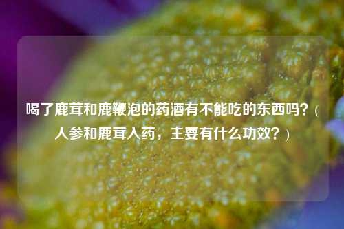 喝了鹿茸和鹿鞭泡的药酒有不能吃的东西吗？(人参和鹿茸入药，主要有什么功效？)