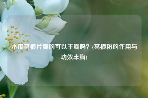 木瓜葛根片真的可以丰胸吗？(葛根粉的作用与功效丰胸)