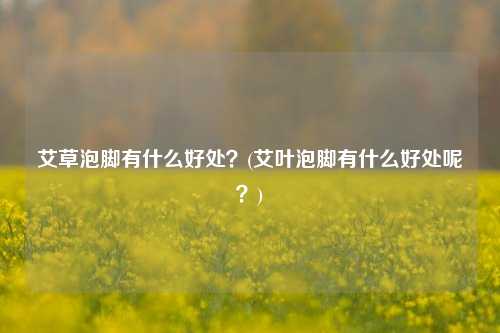 艾草泡脚有什么好处？(艾叶泡脚有什么好处呢？)