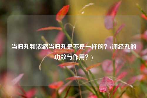 当归丸和浓缩当归丸是不是一样的？(调经丸的功效与作用？)