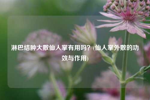 淋巴结肿大敷仙人掌有用吗？(仙人掌外敷的功效与作用)