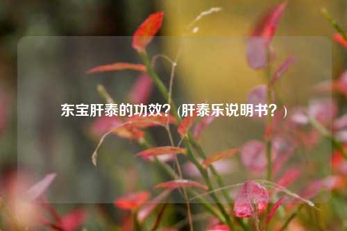 东宝肝泰的功效？(肝泰乐说明书？)