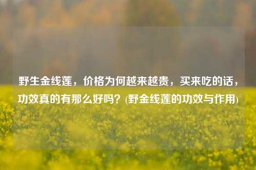 野生金线莲，价格为何越来越贵，买来吃的话，功效真的有那么好吗？(野金线莲的功效与作用)