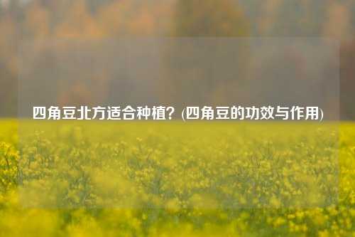 四角豆北方适合种植？(四角豆的功效与作用)