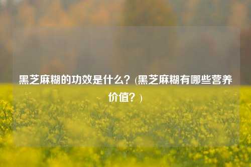 黑芝麻糊的功效是什么？(黑芝麻糊有哪些营养价值？)