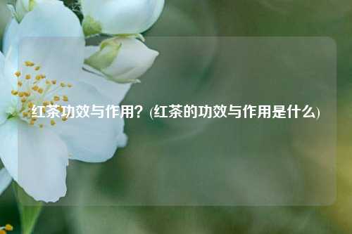 红茶功效与作用？(红茶的功效与作用是什么)