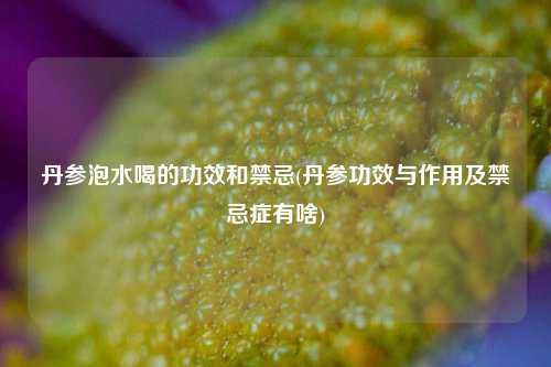 丹参泡水喝的功效和禁忌(丹参功效与作用及禁忌症有啥)