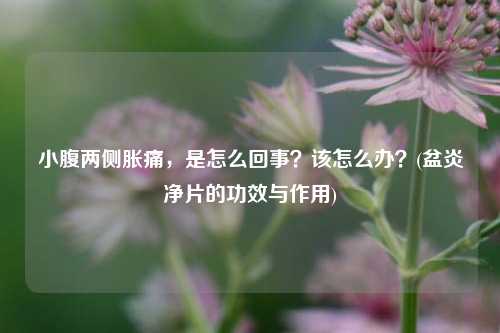 小腹两侧胀痛，是怎么回事？该怎么办？(盆炎净片的功效与作用)