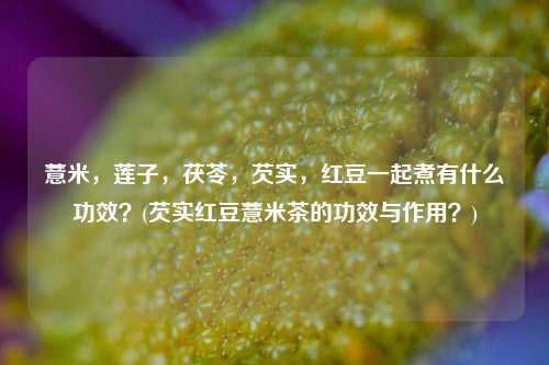 薏米，莲子，茯苓，芡实，红豆一起煮有什么功效？(芡实红豆薏米茶的功效与作用？)