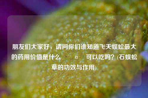 朋友们大家好，请问你们谁知道飞天蜈蚣最大的药用价值是什么🤔可以吃吗？(石蜈蚣草的功效与作用)