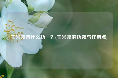 玉米须有什么功効？(玉米须的功效与作用点)